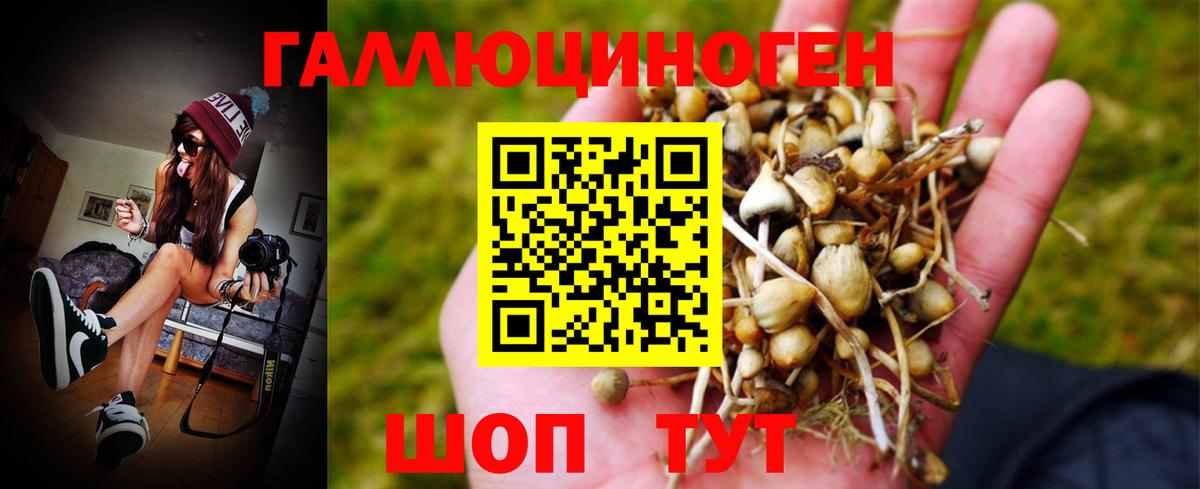 Галлюциногенные грибы Magic Shrooms  Галлюциногенные грибы мицелий  Вход с VPN  где купить   Еманжелинск 